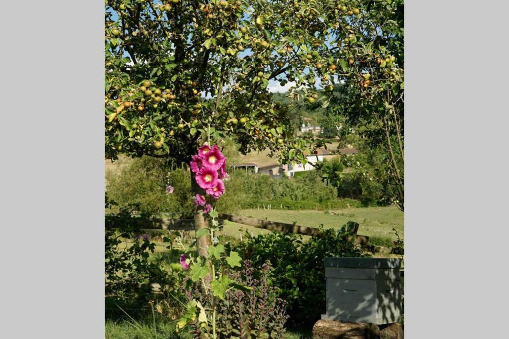 Vila Maison De Campagne A 15 Km De Cluny Tramayes Exteriér fotografie